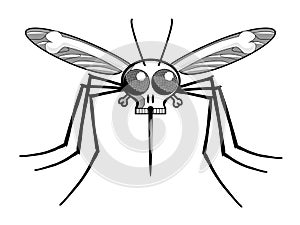 Deaths head malaria mosquito