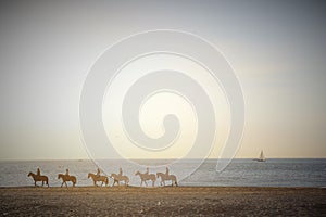 Deauville, France. 05.04.2016. Group of horses in the beach with jogger and a sailboat in the background and with vintage tones.