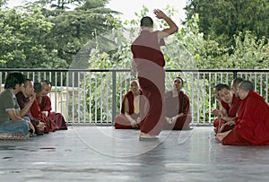 Dharamsala, India debating Tibetan Buddhist Monks