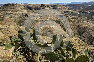 Debre Damo in Tigray, Ethiopia