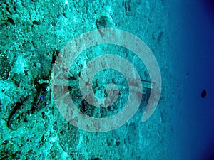 Debris on the seabed photo