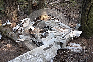 Debris at the site of a plane crash on Galiano island