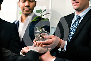 Debt-free lifestyle concept by money savings with coin and plant. Quaint