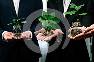 Debt-free lifestyle concept by money savings with coin and plant. Quaint