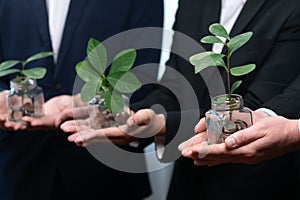 Debt-free lifestyle concept by money savings with coin and plant. Quaint