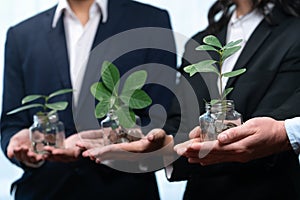 Debt-free lifestyle concept by money savings with coin and plant. Quaint