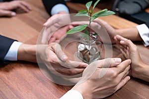 Debt-free lifestyle concept by money savings with coin and plant. Quaint