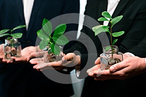 Debt-free lifestyle concept by money savings with coin and plant. Quaint