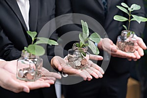 Debt-free lifestyle concept by money savings with coin and plant. Quaint