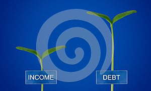 Debt and Income Conccept