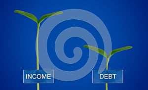 Debt and Income Conccept