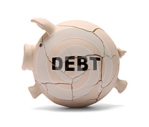 Debt Pig