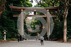 Wooden Torii gate of Meiji Jingu Shrine under big tree in Tokyo