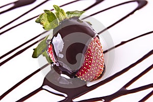 Decadent Strawberry Chocolate Dessert