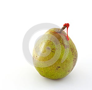 Decana pear