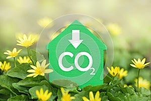 Decarbonization of Real Estate. Lower CO2 emissions and reduce carbon. Green House flower background photo