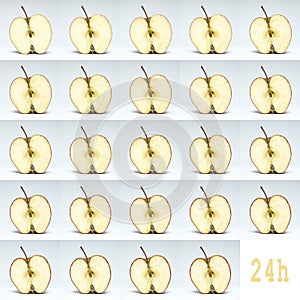 The decay of a fresh apple in 24 hours, aging concept