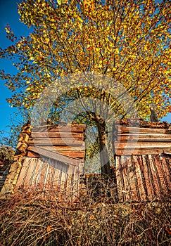 Decay of the old wooden house in autumn nature