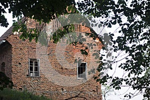 Decay and structural damage in building