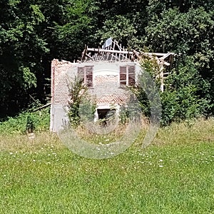 decay and structural damage in building