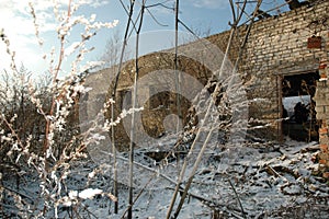 decay and structural damage in building