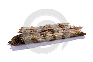 Decay Wood Stick