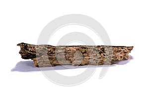 Decay Wood Stick