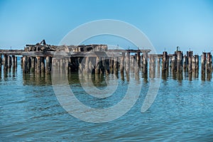 Decayed Pier Pilings