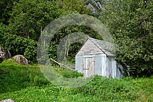 Decayed shed in green wilderness