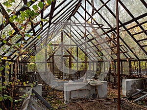 Decaying and abandoned greenhouse in ghost town Pripyat. Chernobyl Exclusion Zone. Ukraine