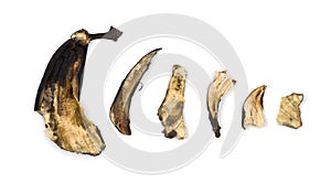 Decaying banana slices against white