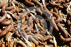 Decaying brown old chain on the beach, abstract background