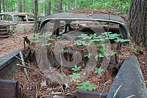 Decaying car body photo