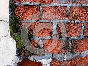 Decaying of erosion mossy red brick wall with remains of plaster of 18th century building