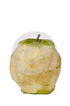 Decaying Granny Smith Apple