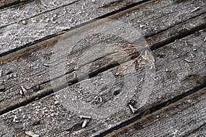 Decaying leaf frozen to some wooden planks