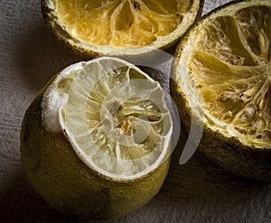 Decaying Lemons with Dark Background. photo