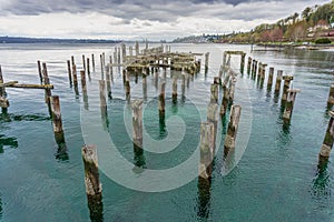 Decaying Pilings Landscape 3