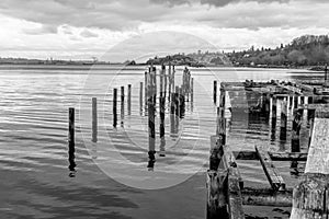 Decaying Pilings Landscape 4