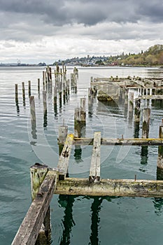 Decaying Pilings Landscape 6