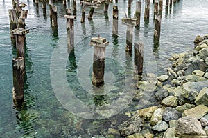 Decaying Pilings Landscape 7