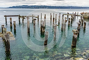 Decaying Pilings Landscape 8