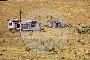 Decaying Ruins Of Old Homestead On A Deserted Australian Dairy Farm In Economic Ruin