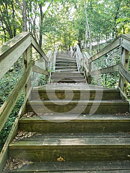 Decaying Stairs in the Woods