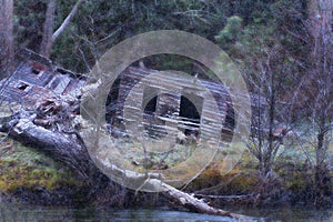 Decaying structure and falling snow photo