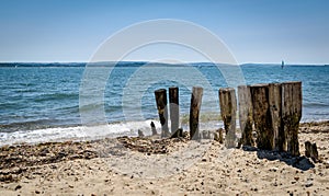 Decaying wooden groynes on the beach at Lepe, Hampshire UK