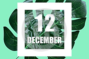 december 12th. Day 12 of month,Date text in white frame against tropical monstera leaf on green background winter month