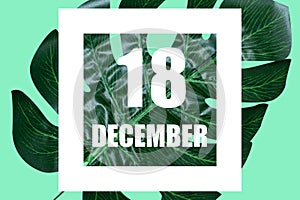 december 18th. Day 18 of month,Date text in white frame against tropical monstera leaf on green background winter month