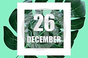 december 26th. Day 26 of month,Date text in white frame against tropical monstera leaf on green background winter month