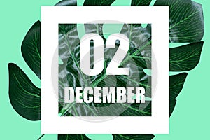 december 2nd. Day 2 of month,Date text in white frame against tropical monstera leaf on green background winter month